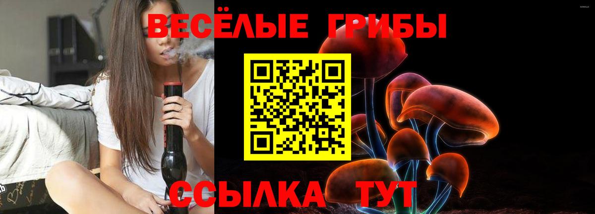 Россия  Галлюциногенные грибы мицелий  Вход с VPN  Галлюциногенные грибы прущие грибы 