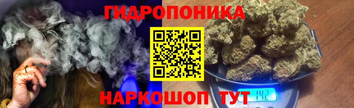 Канабис сатива Россия